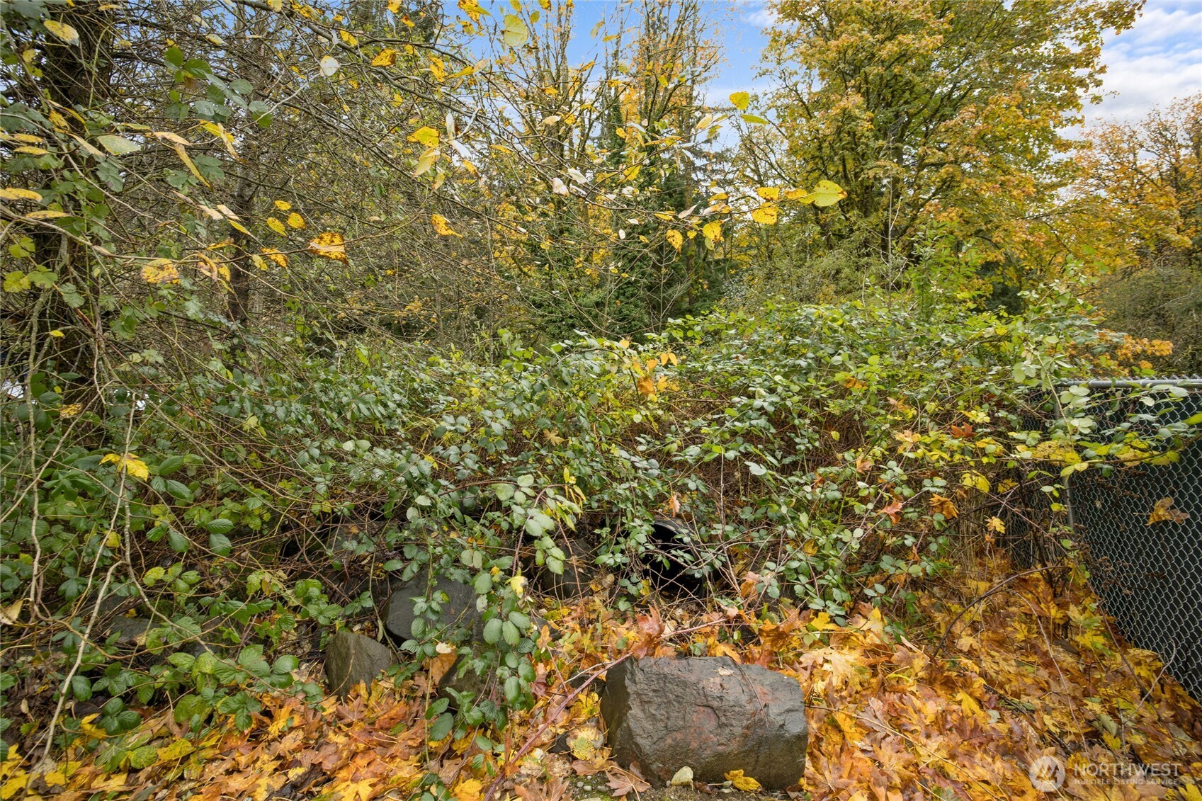 135 XX 415th Way SE, North Bend, WA 98045