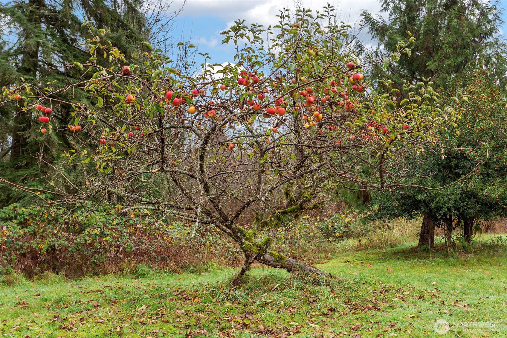 12321 155th Avenue NE, Arlington, WA 98223