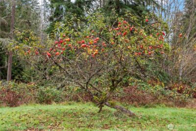 12321 155th Avenue NE, Arlington, WA 98223 - Photo 7