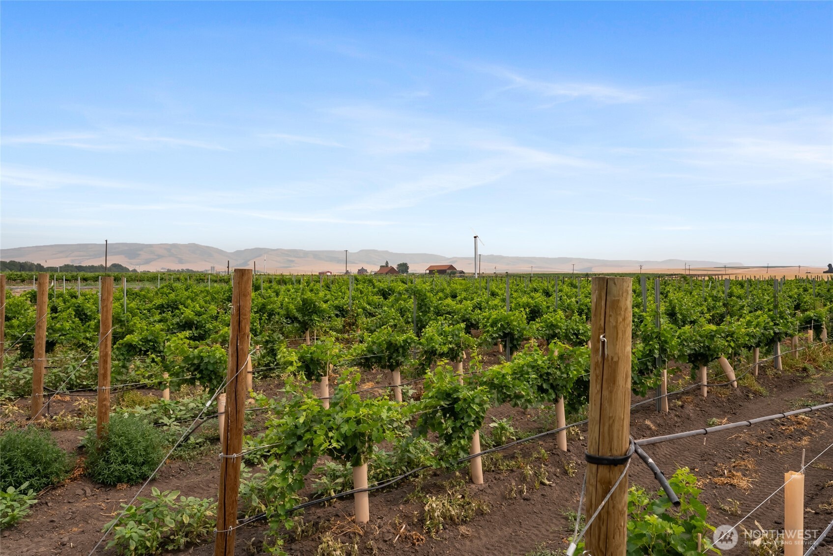 401 Healey Drive , Walla Walla, WA 99362