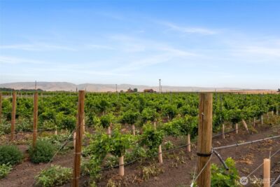 401 Healey Drive , Walla Walla, WA 99362 - Photo 14