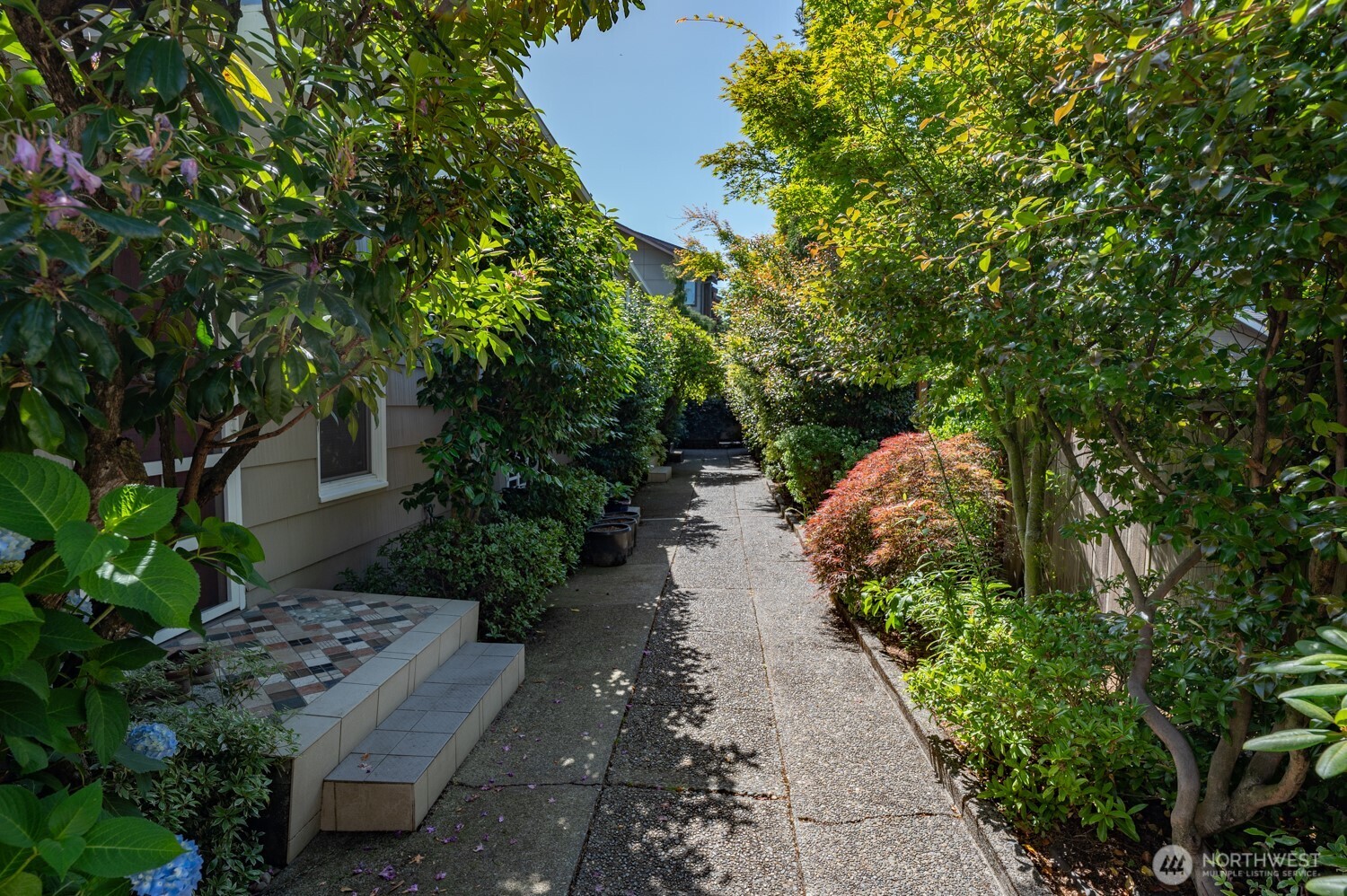 8001 Densmore Avenue N, Seattle, WA 98103