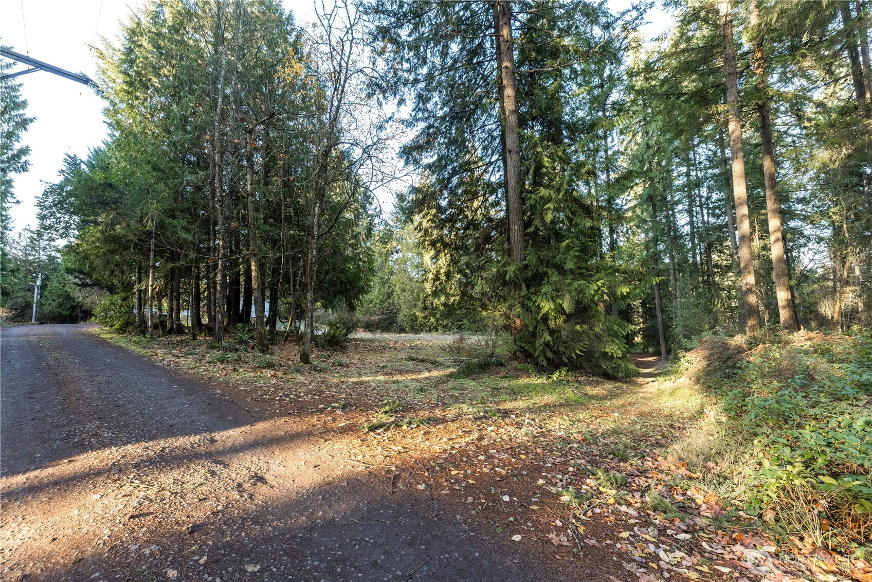 11656 Random Place NW, Silverdale, WA 98383