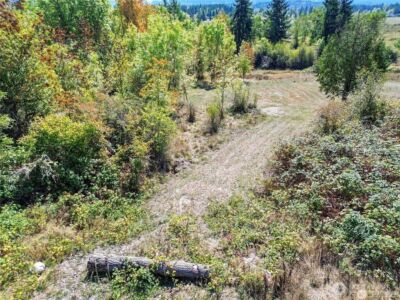 40325 Dean Kreger Road E, Eatonville, WA 98328 - Photo 4