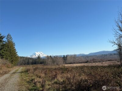 40325 Dean Kreger Road E, Eatonville, WA 98328 - Photo 6