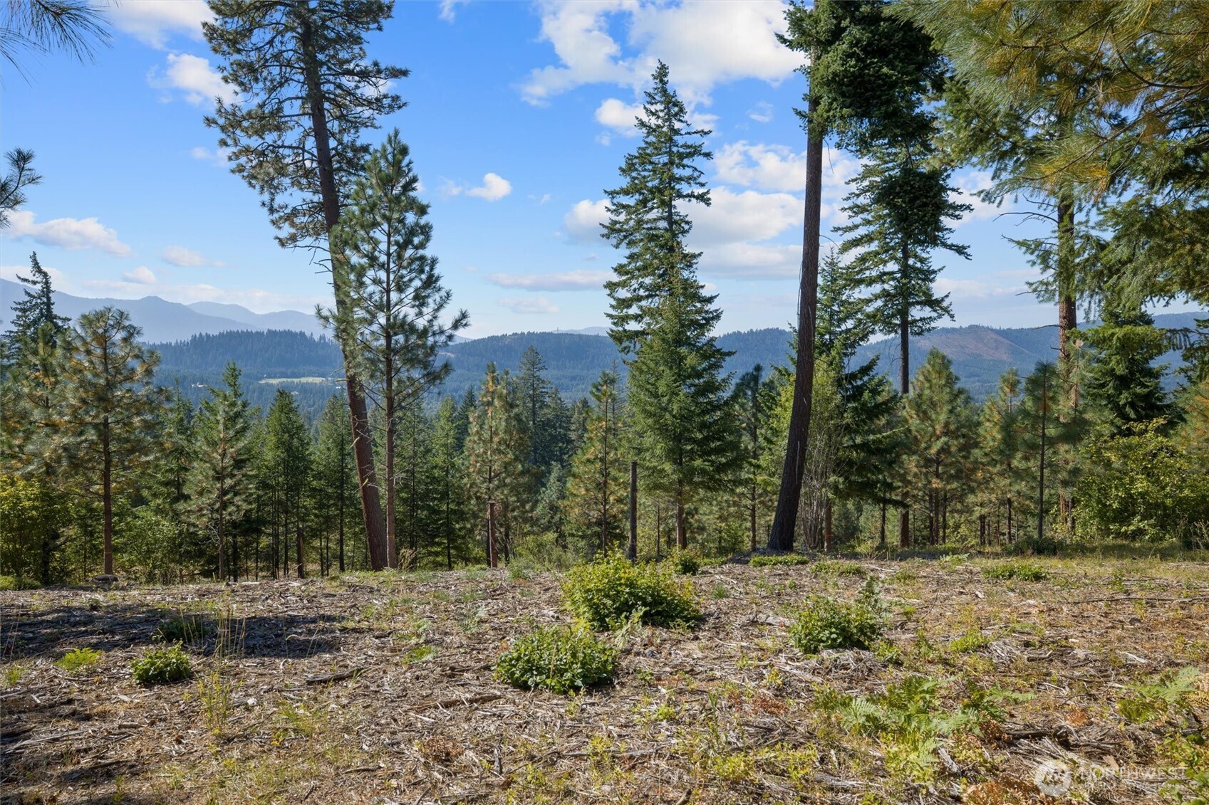 9 Red Sky Way , Cle Elum, WA 98922