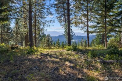 9 Red Sky Way , Cle Elum, WA 98922 - Photo 4