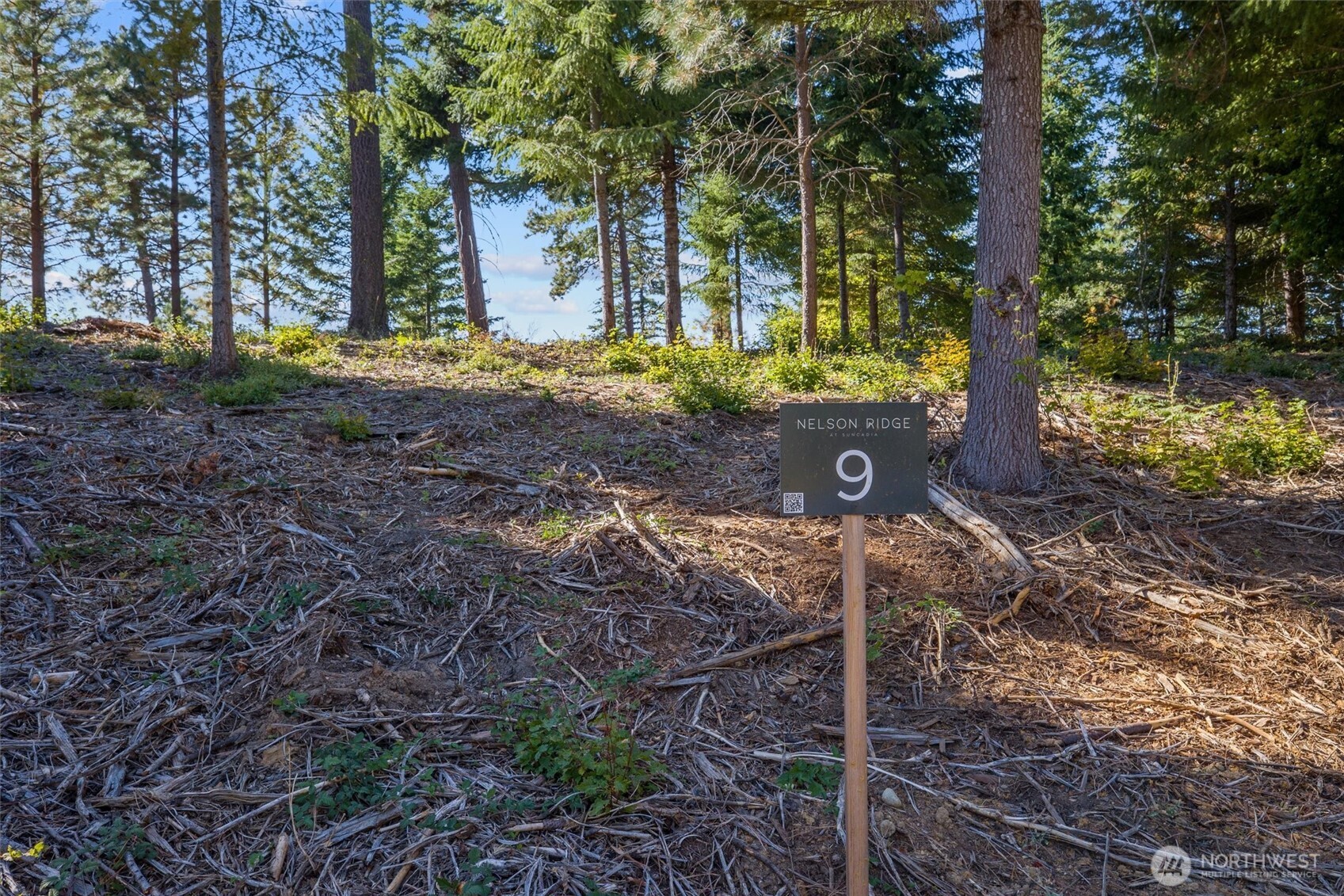 9 Red Sky Way , Cle Elum, WA 98922