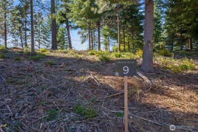 9 Red Sky Way , Cle Elum, WA 98922 - Photo 5