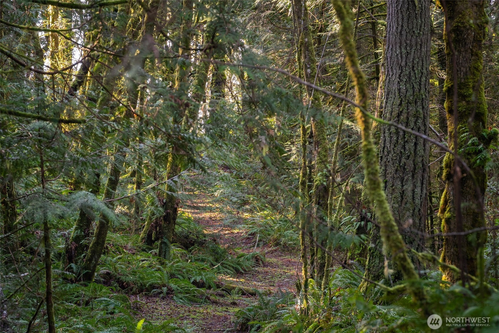 0 SE Totten Shores Drive , Shelton, WA 98584