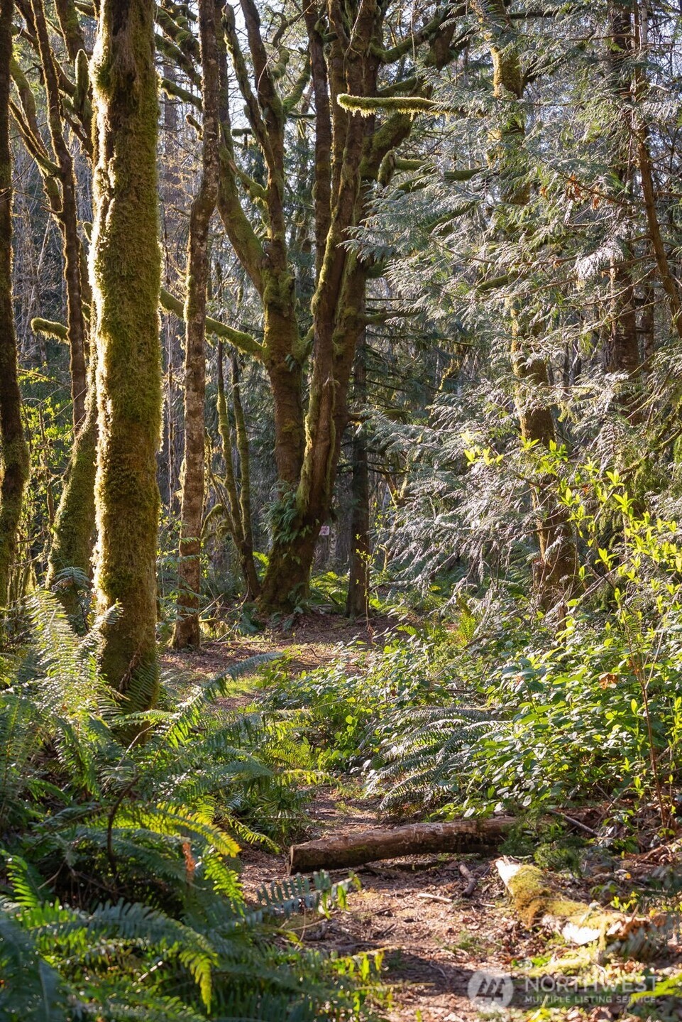 0 SE Totten Shores Drive , Shelton, WA 98584