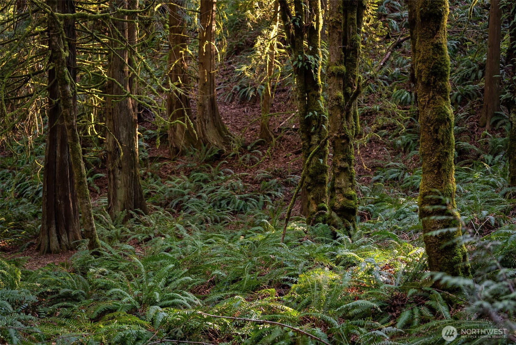 0 SE Totten Shores Drive , Shelton, WA 98584