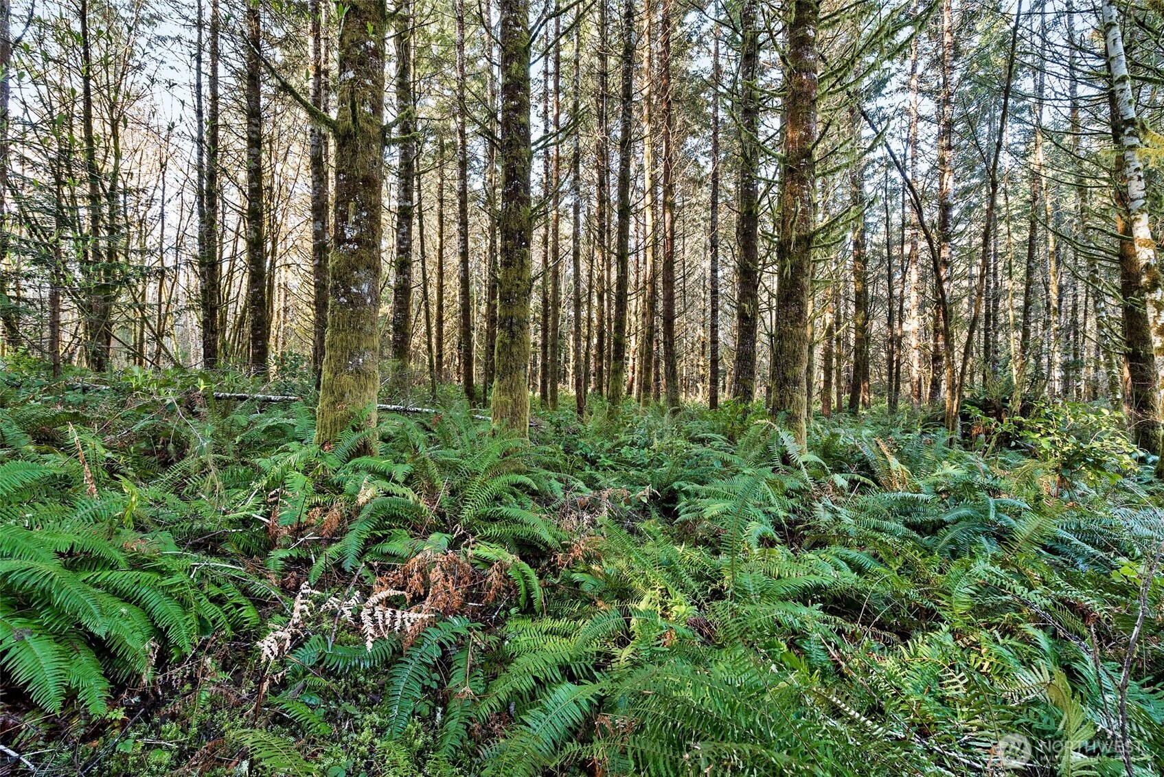 0 SE Totten Shores Drive , Shelton, WA 98584