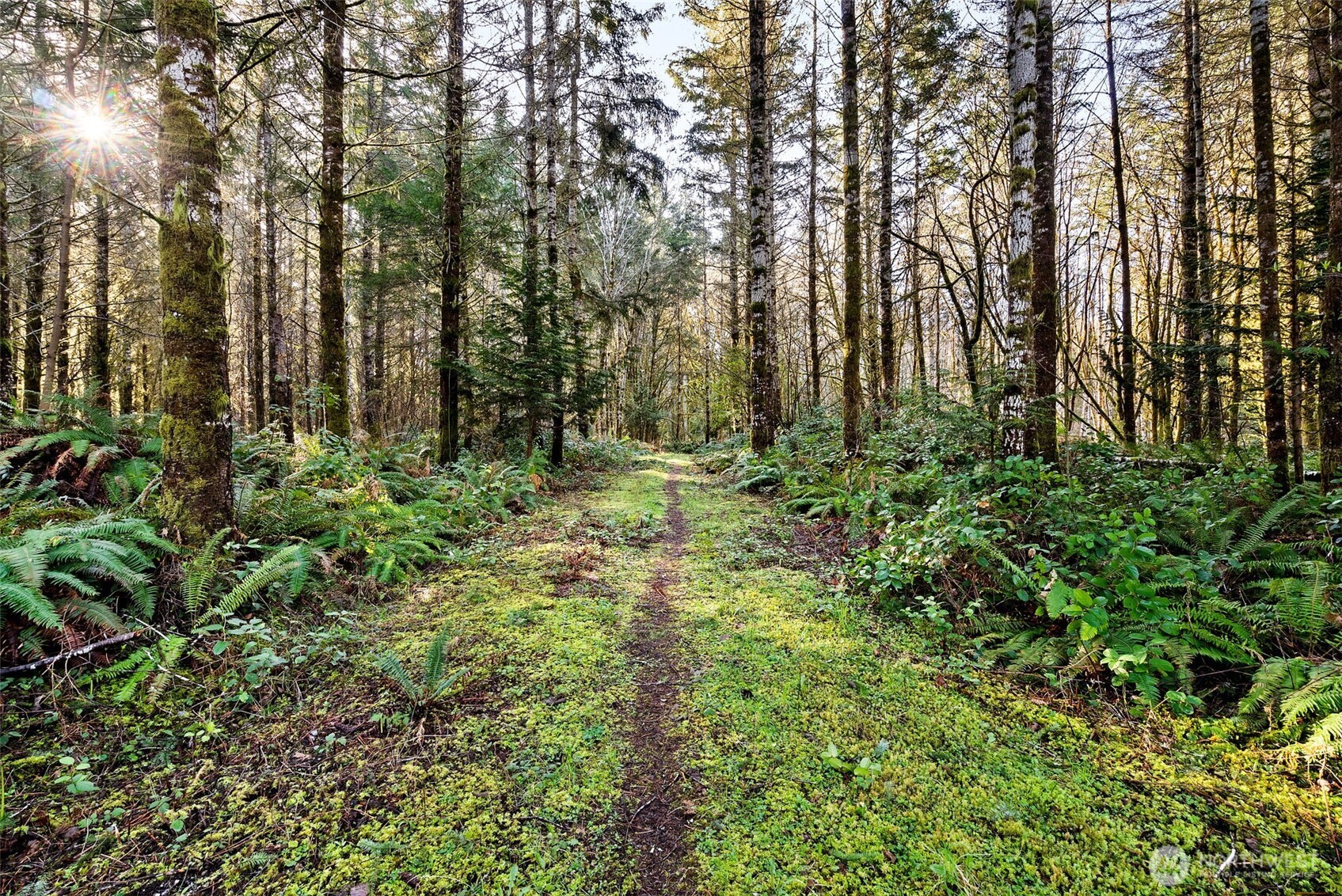 0 SE Totten Shores Drive , Shelton, WA 98584