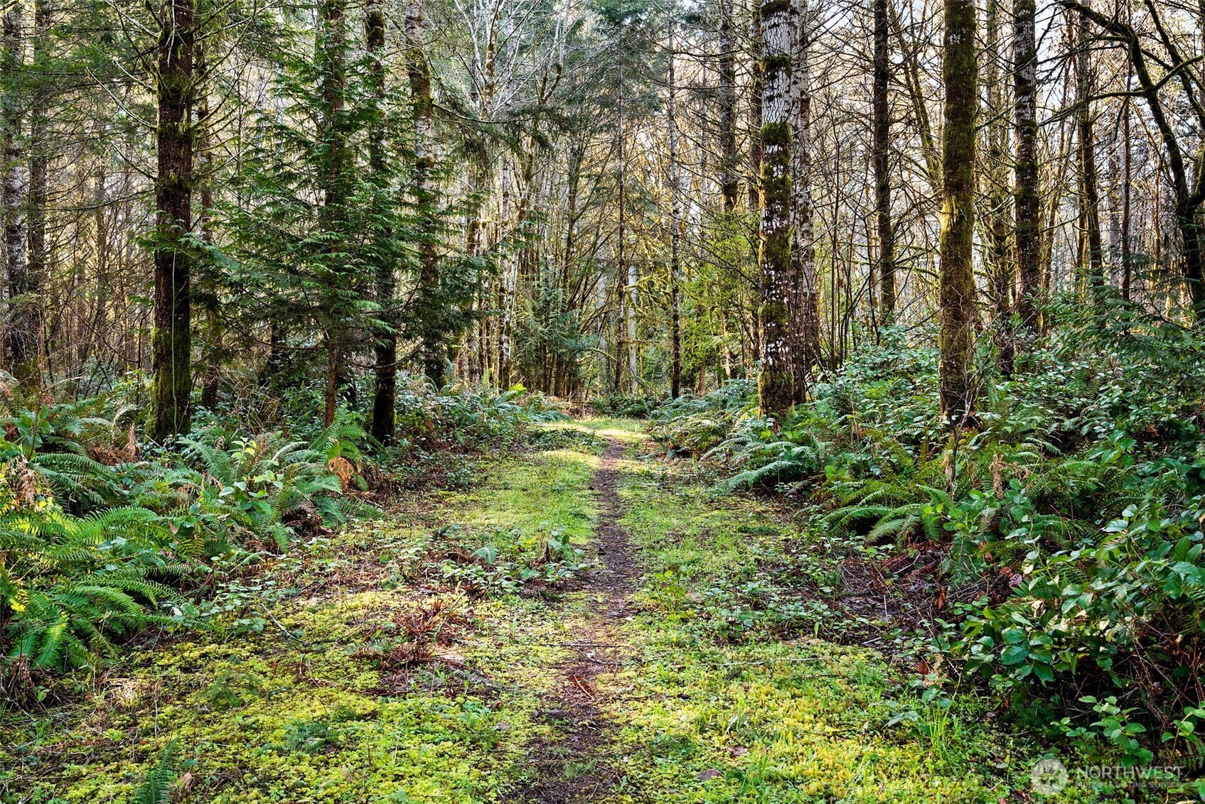 0 SE Totten Shores Drive , Shelton, WA 98584