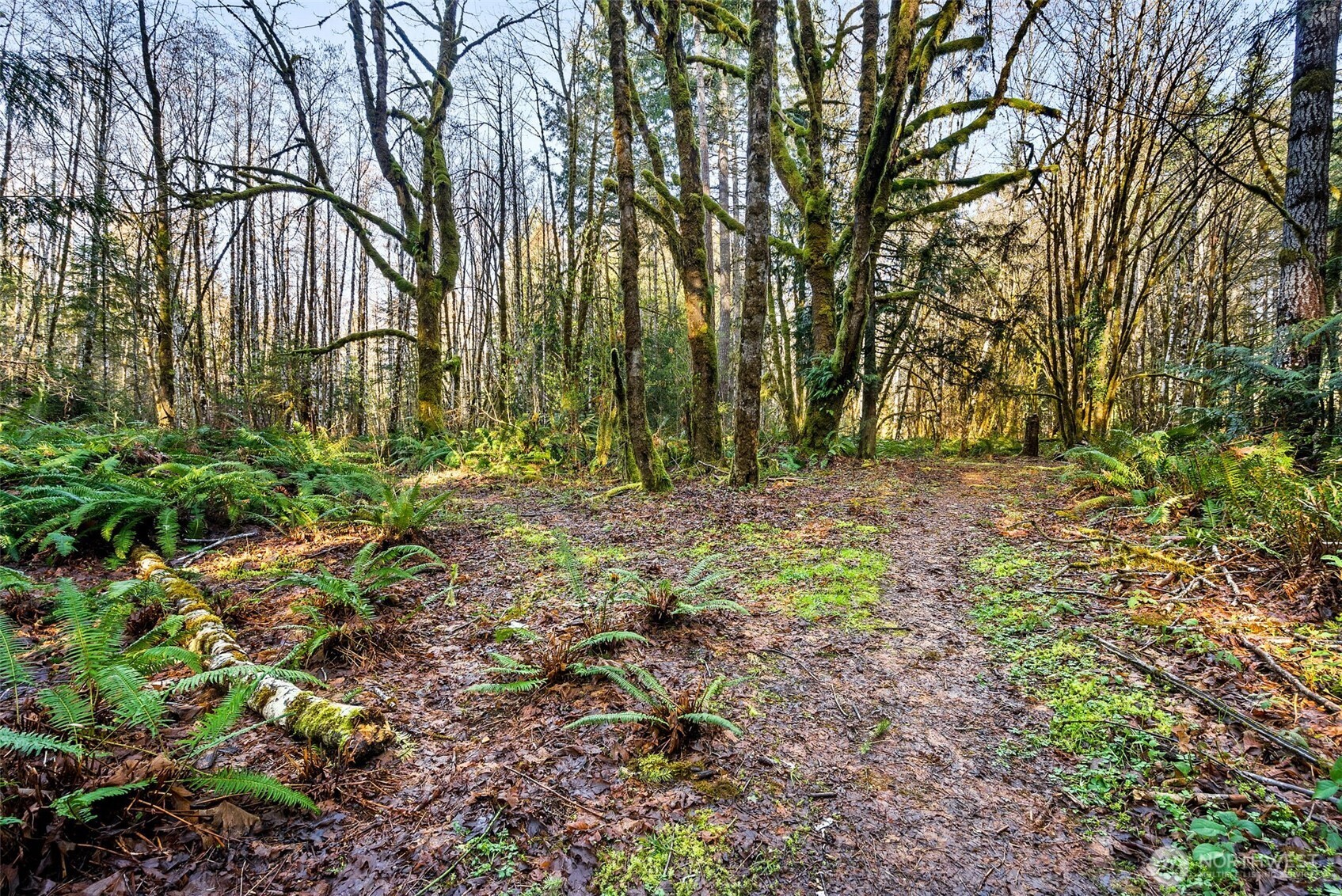 0 SE Totten Shores Drive , Shelton, WA 98584