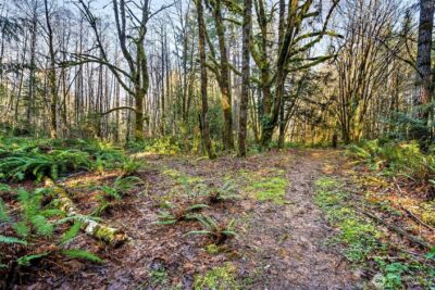 0 SE Totten Shores Drive , Shelton, WA 98584 - Photo 17