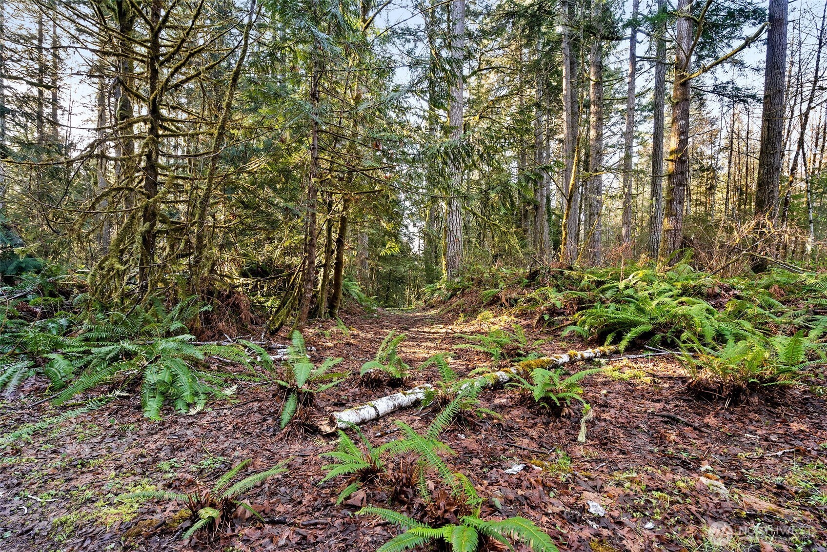 0 SE Totten Shores Drive , Shelton, WA 98584