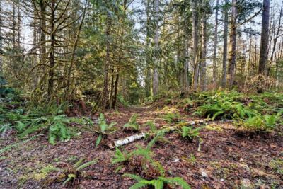 0 SE Totten Shores Drive , Shelton, WA 98584 - Photo 18