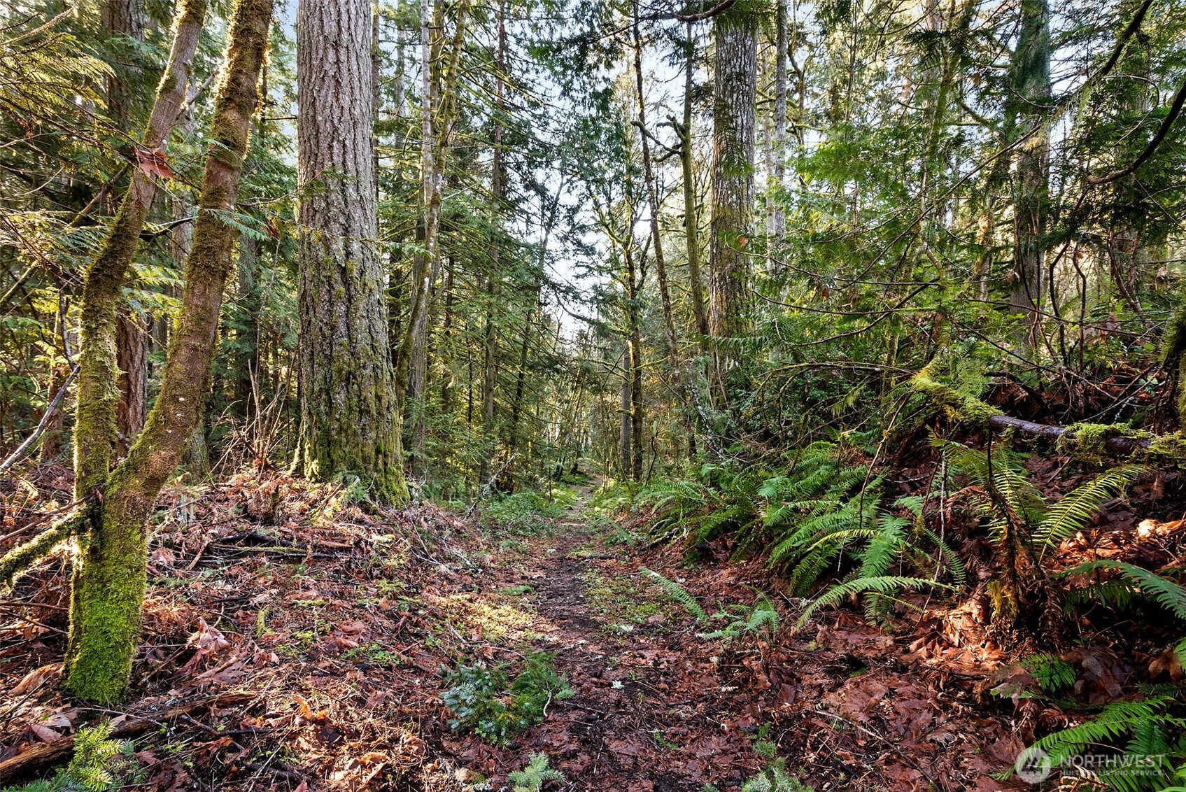 0 SE Totten Shores Drive , Shelton, WA 98584