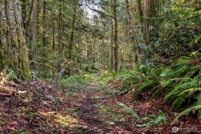 0 SE Totten Shores Drive , Shelton, WA 98584 - Photo 20