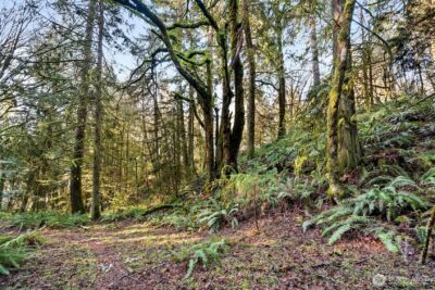 0 SE Totten Shores Drive , Shelton, WA 98584 - Photo 21