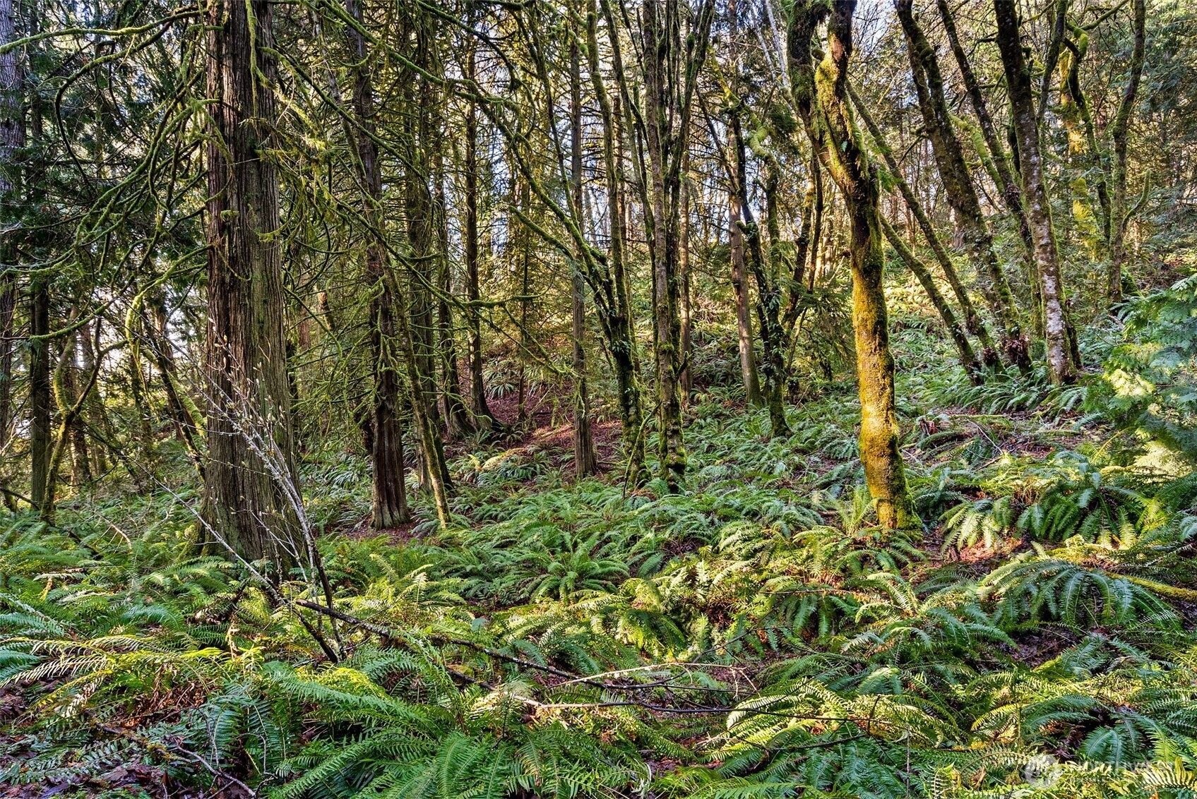 0 SE Totten Shores Drive , Shelton, WA 98584