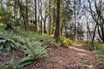 0 SE Totten Shores Drive , Shelton, WA 98584 - Photo 9