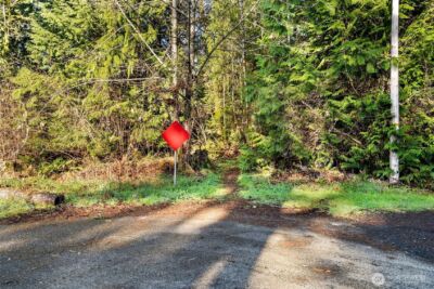 0 SE Totten Shores Drive , Shelton, WA 98584 - Photo 10