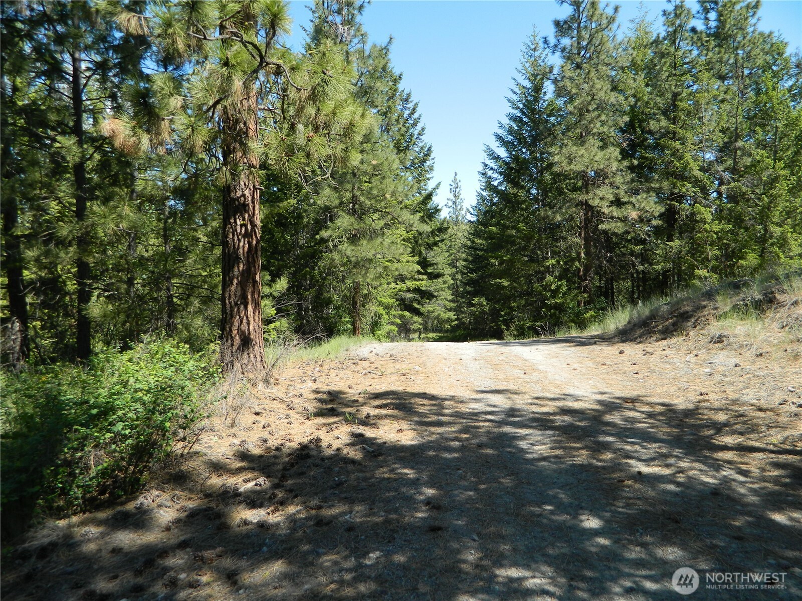 0 Tbd Murphy Ranch Road , Tonasket, WA 98855
