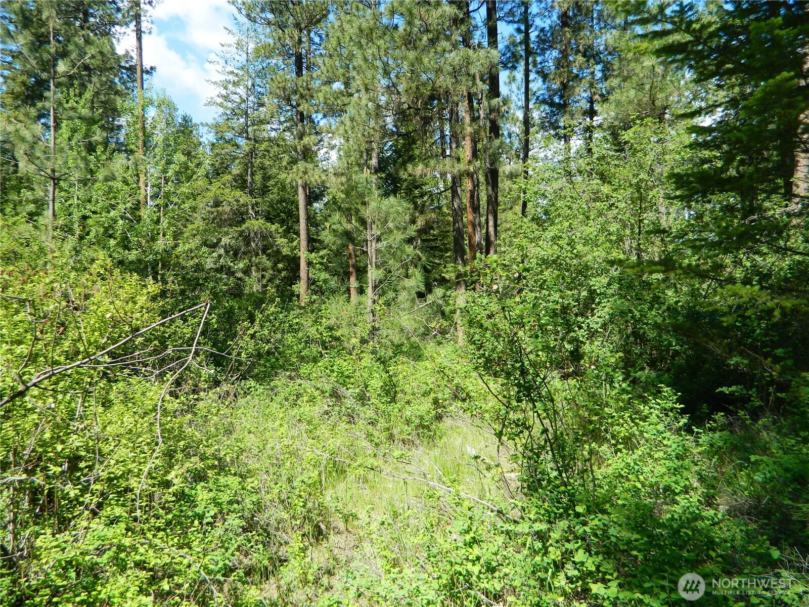 0 Tbd Murphy Ranch Road , Tonasket, WA 98855