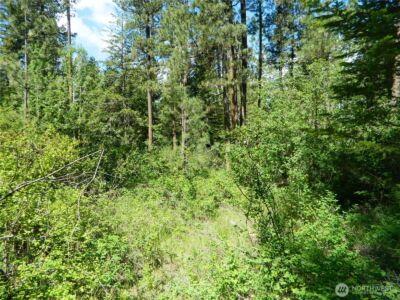 0 Tbd Murphy Ranch Road , Tonasket, WA 98855 - Photo 11