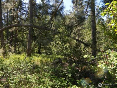 0 Tbd Murphy Ranch Road , Tonasket, WA 98855 - Photo 2
