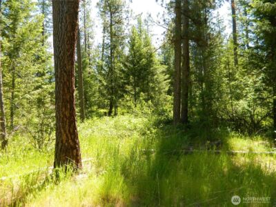 0 Tbd Murphy Ranch Road , Tonasket, WA 98855 - Photo 3