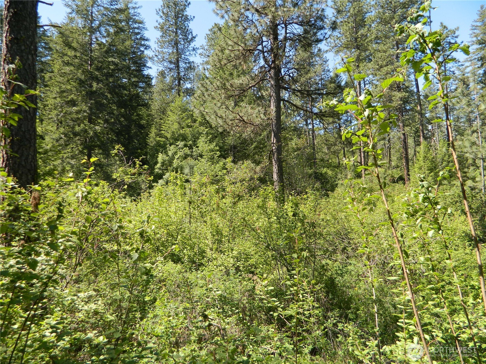 0 Tbd Murphy Ranch Road , Tonasket, WA 98855