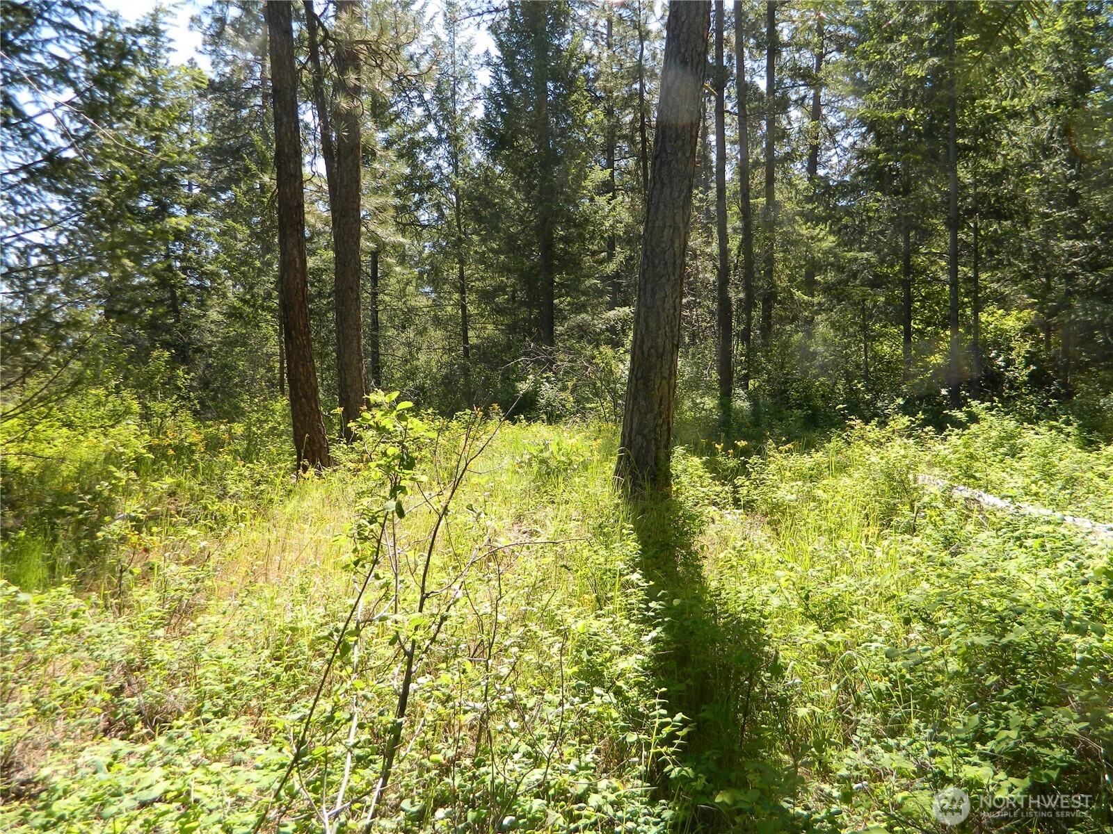 0 Tbd Murphy Ranch Road , Tonasket, WA 98855