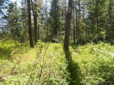 0 Tbd Murphy Ranch Road , Tonasket, WA 98855 - Photo 5