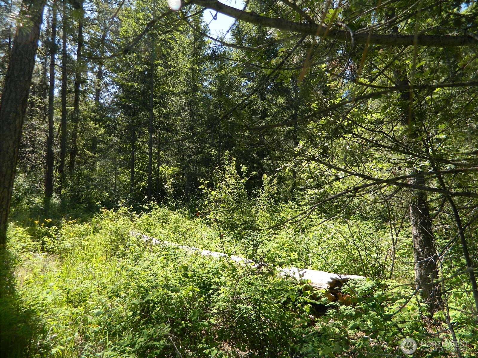 0 Tbd Murphy Ranch Road , Tonasket, WA 98855