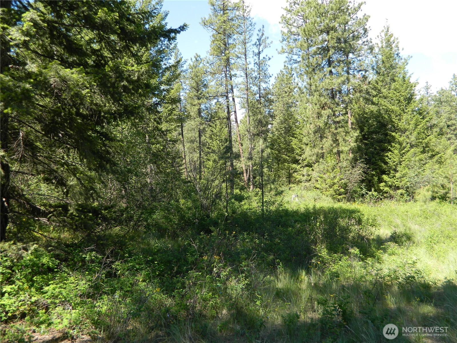 0 Tbd Murphy Ranch Road , Tonasket, WA 98855