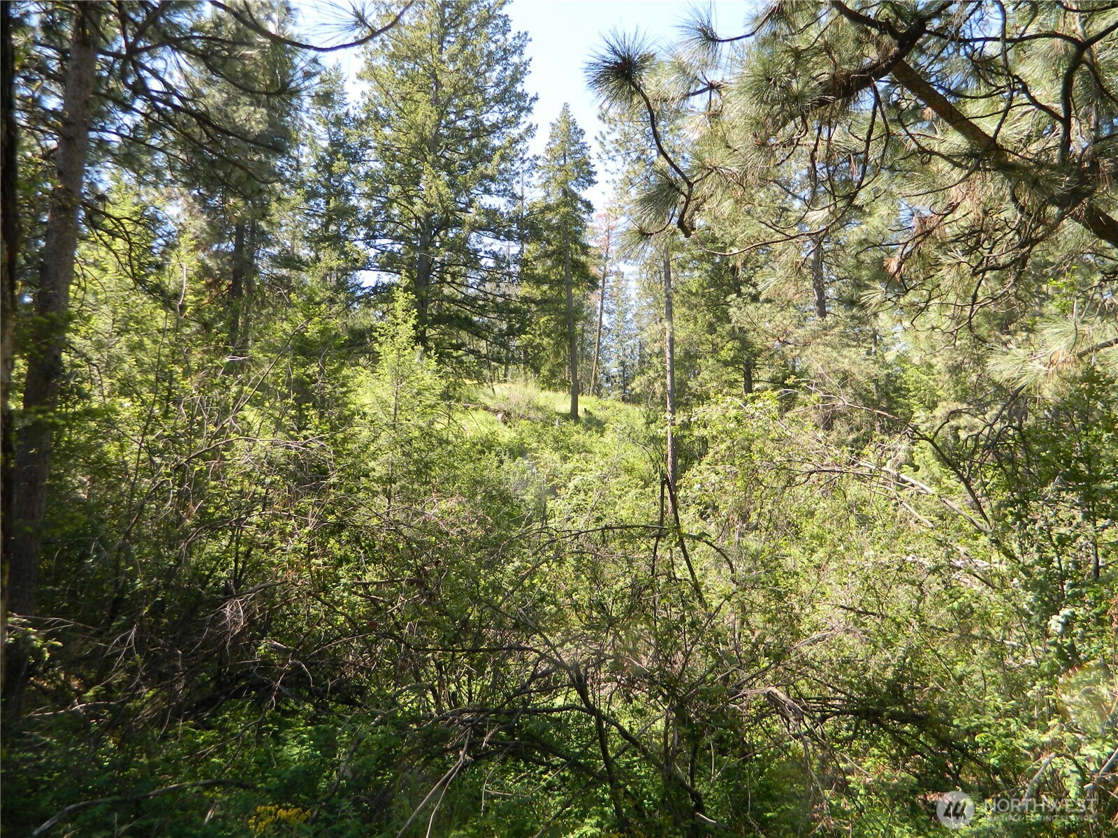 0 Tbd Murphy Ranch Road , Tonasket, WA 98855