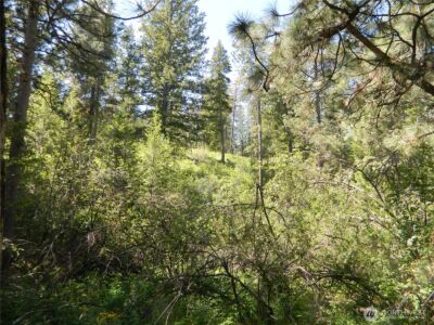 0 Tbd Murphy Ranch Road , Tonasket, WA 98855 - Photo 9