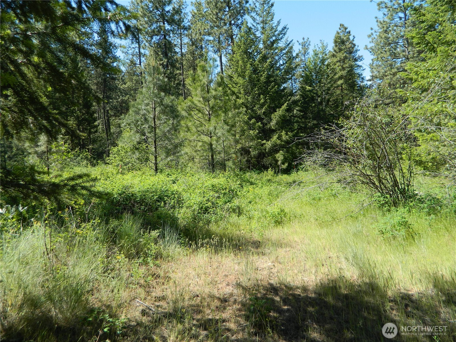111 TBD Murphy Ranch Road , Tonasket, WA 98855
