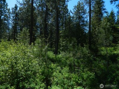 111 TBD Murphy Ranch Road , Tonasket, WA 98855 - Photo 4