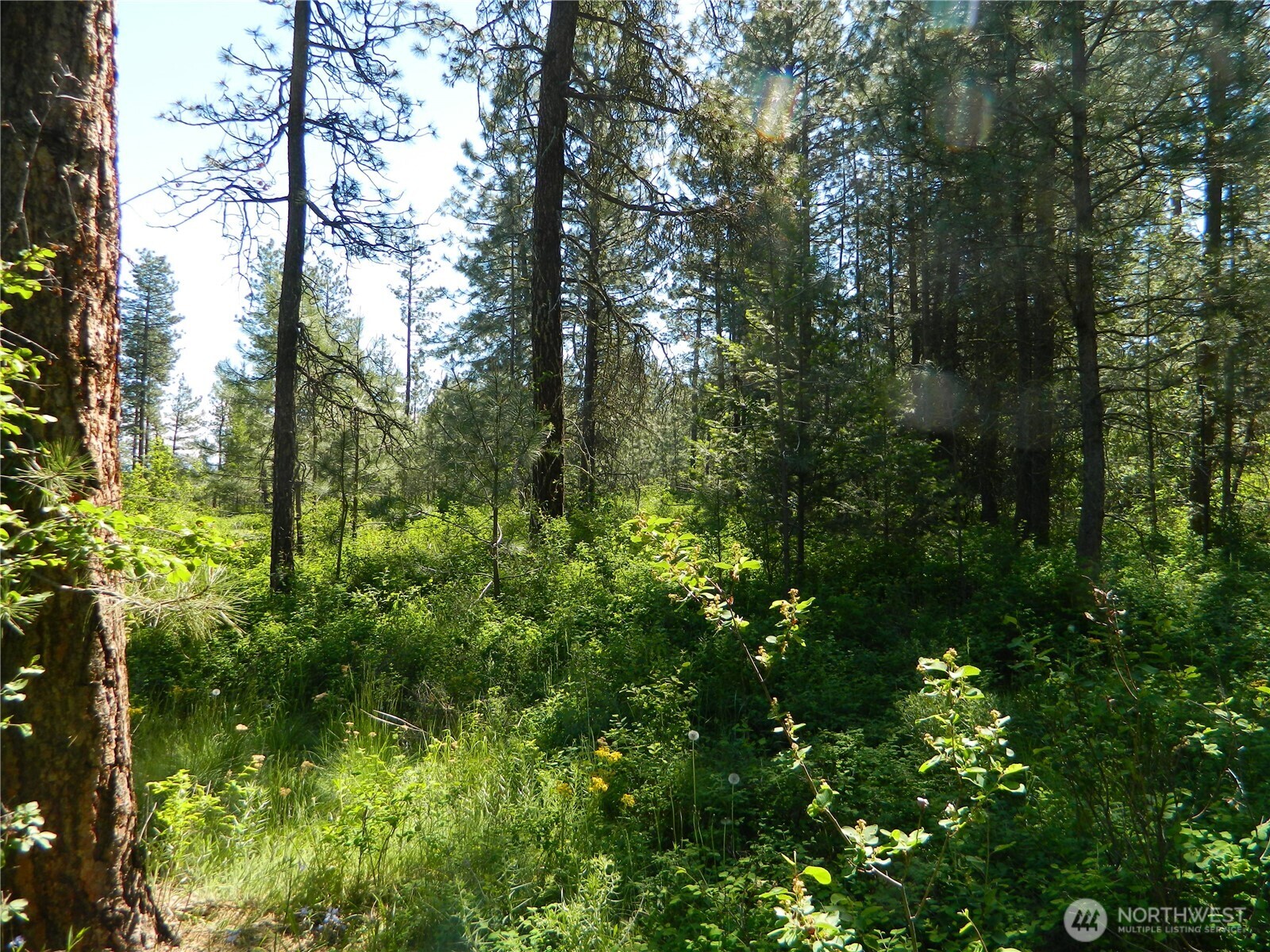 111 TBD Murphy Ranch Road , Tonasket, WA 98855