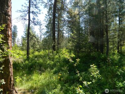 111 TBD Murphy Ranch Road , Tonasket, WA 98855 - Photo 6