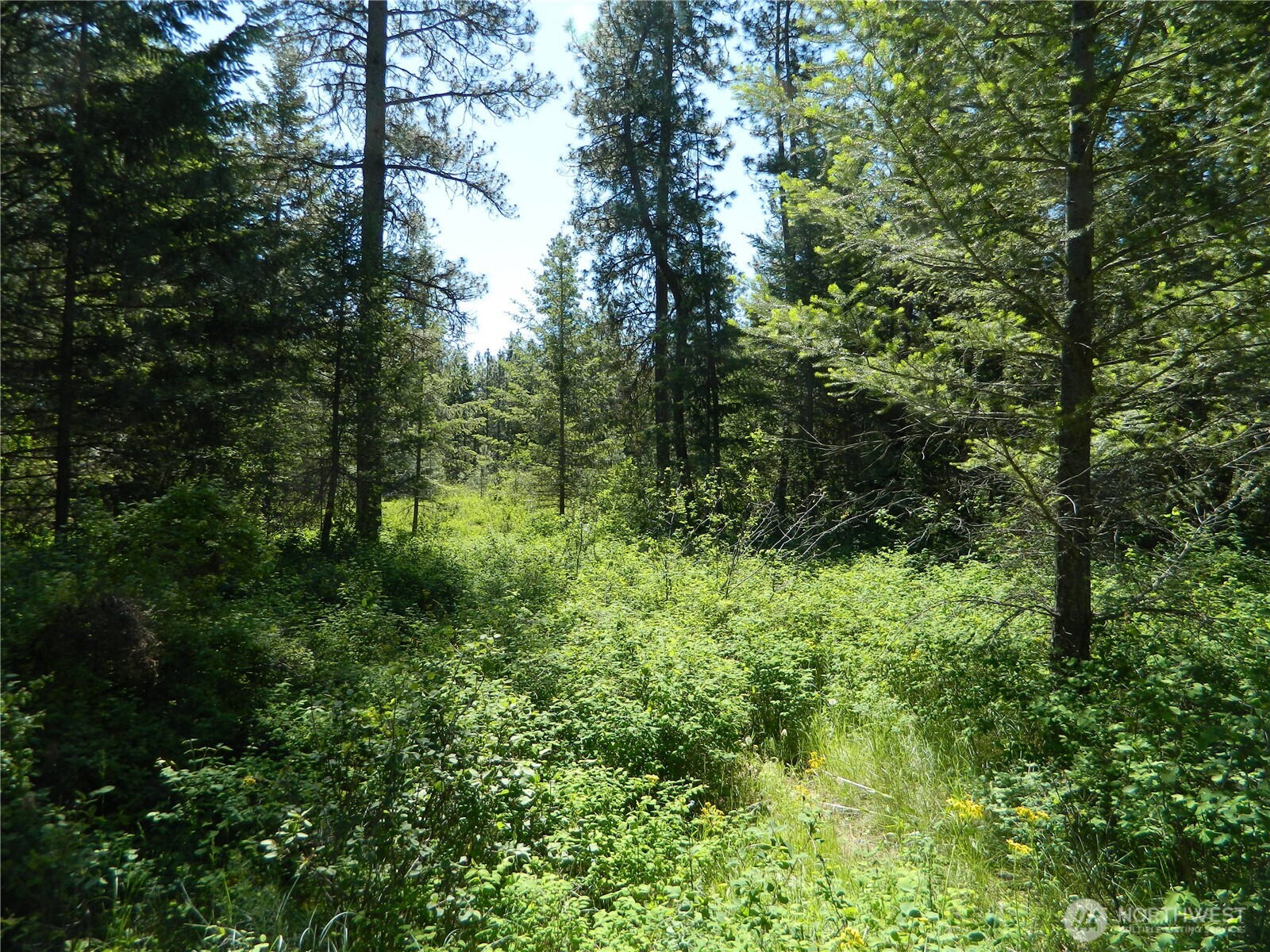 111 TBD Murphy Ranch Road , Tonasket, WA 98855