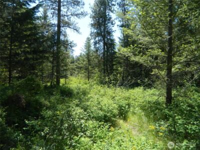 111 TBD Murphy Ranch Road , Tonasket, WA 98855 - Photo 8