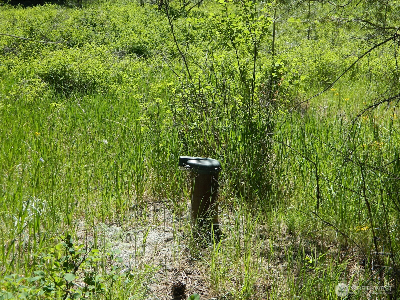 111 TBD Murphy Ranch Road , Tonasket, WA 98855