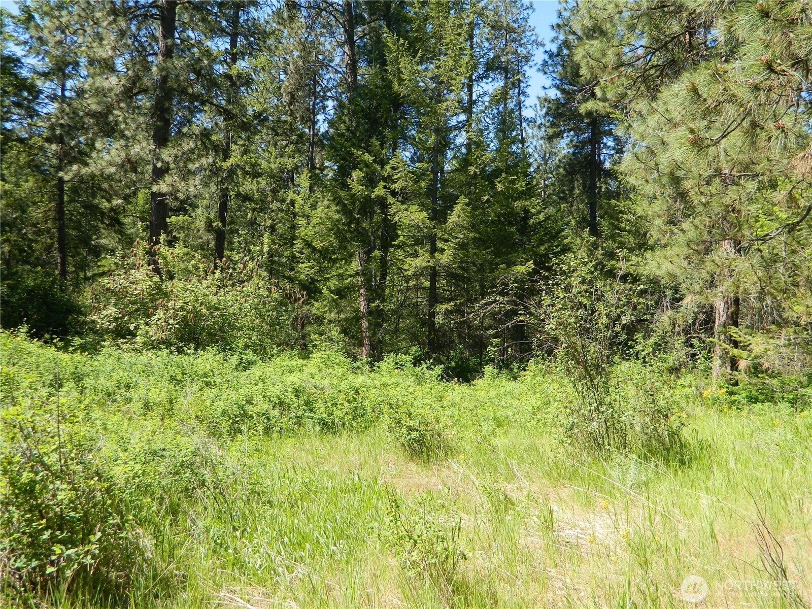 111 TBD Murphy Ranch Road , Tonasket, WA 98855