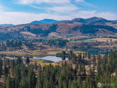 96 Twin Lakes Drive , Winthrop, WA 98862 - Photo 11